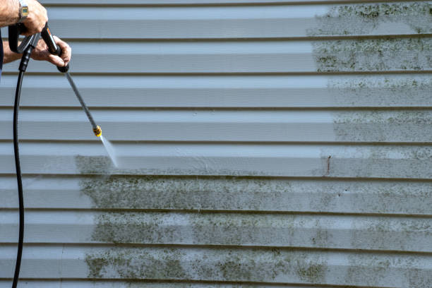 Best Carpet Removal and Disposal  in Whitestown, IN