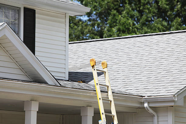 Best Shed Removal  in Whitestown, IN